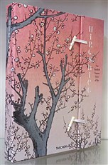 Hiroshige One Hundred Famous Views Of Edo 