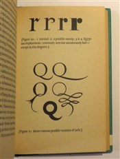 An Essay on Typography 