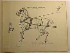 Chas, Nightingale, Wholesale Saddlery Works, Walsall, England 