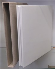 Elizabeth Frink: Sculpture