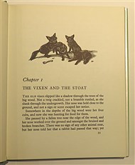 More Stories Of The Wild The Story Of A Fox Cub 
