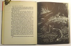 Vix The Story Of A Fox Cub