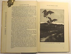 A Sportsman Looks At Eire 
