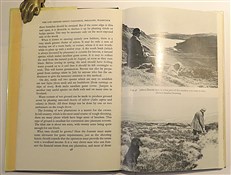 A Guide to Rough Shooting 