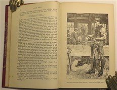 Novels Of George Eliot. Adam Bede, Mill on the Floss, Silas Marner & Scenes of Clerical Life, Felix Holt, Romola, Middlemarch & Daniel Deroda. 