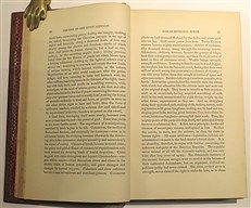 The Works Of John Lothrop Motley In Nine Volumes 