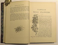 Familiar Wild Flowers in three volumes