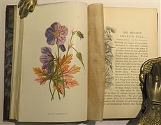 Familiar Wild Flowers in three volumes