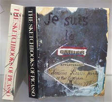 The Sketchbooks Of Picasso
