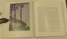 Monet In The '90s: The Series Paintings