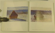 Monet In The '90s: The Series Paintings