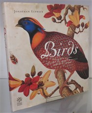 Birds: The Art Of Illustration
