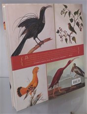 Birds: The Art Of Illustration