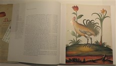 Birds: The Art Of Illustration