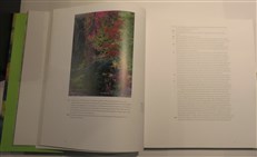 Painting The Modern Garden: Monet To Matisse