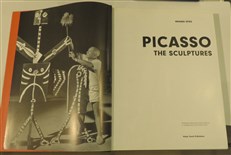 Picasso: The Sculptures