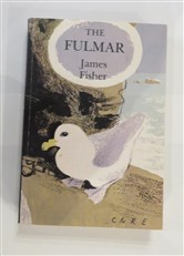 The Fulmar