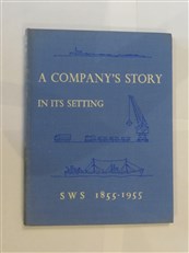 A Company's Story in its Setting