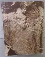 Elisabeth Frink: Sculpture And Drawings