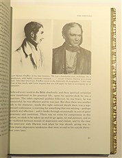 Darwin And The Beagle