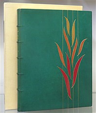 The Dictionary Of Garden Plants 