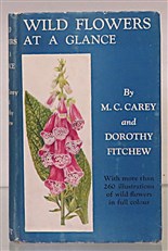 Wild Flowers At A Glance