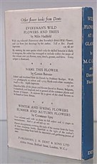 Wild Flowers At A Glance