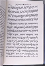 Homer The Iliad 