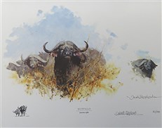 David Shepherd in Southern Africa: The Sappi Selection
