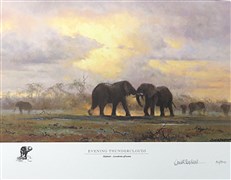David Shepherd in Southern Africa: The Sappi Selection