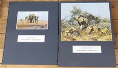 David Shepherd in Southern Africa: The Sappi Selection