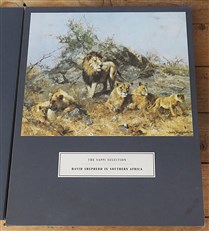 David Shepherd in Southern Africa: The Sappi Selection