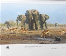 David Shepherd in Southern Africa: The Sappi Selection