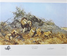 David Shepherd in Southern Africa: The Sappi Selection