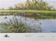 David Shepherd in Southern Africa: The Sappi Selection