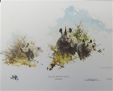 David Shepherd in Southern Africa: The Sappi Selection
