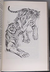 Encounters with Animals 