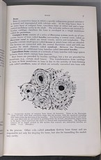 Anatomy And Physiology For Students Of Physiotherapy Occupational Therapy And Gymnastics 