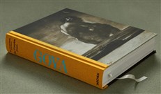Goya. The Complete Prints