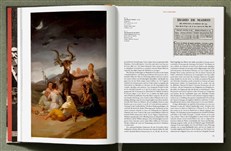 Goya. The Complete Prints