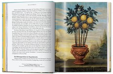 J. C. Volkamer. The Book of Citrus Fruits. 45th Edition