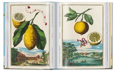 J. C. Volkamer. The Book of Citrus Fruits. 45th Edition