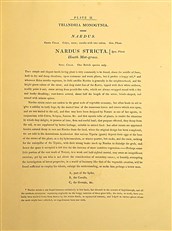 Gramina Britannica; or Representations of the British Grasses