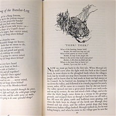 The Jungle Books