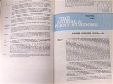 Guinness Book of Records