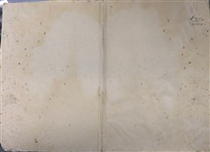 Drawing-Room Conjuring