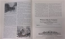 Wild Catting On The Mountain. The History of The Whitmer And Steele Lumber Companies 