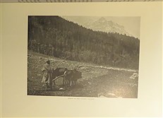 The Charm Of Kashmir 