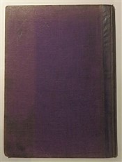 The Children's King Arthur 