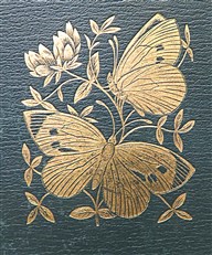 A History of British Butterflies